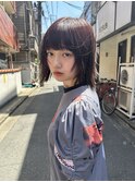 ミディアムレイヤー