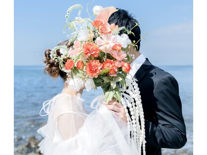 シュシュ(Chouchou.)の写真