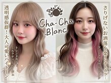 チャチャブラン(cha-cha Blanc)
