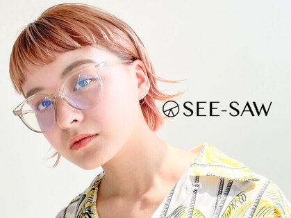 シーソー(SEE-SAW)の写真