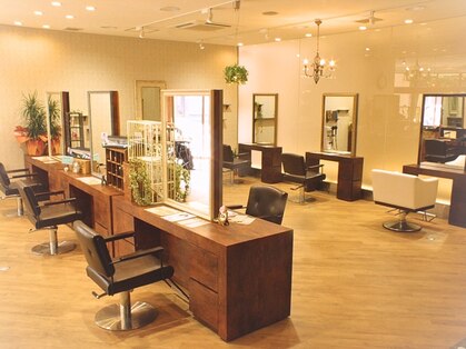 バランス ヴィヴィ(BALANCE vivi)の写真