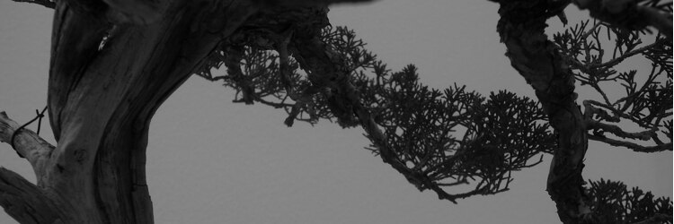 トウキョウ クラシック バーバー タウン(TOKYO CLASSIC BARBER TOWN)のサロンヘッダー