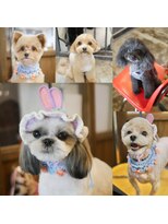 ガーフィー(garfy)&nbsp;カットシャンプーコース