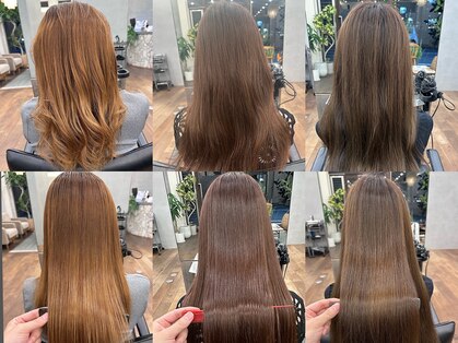 ジョイス(JOYCE)の写真