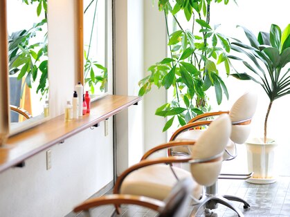 プリモドットリアン(primo…lien)の写真