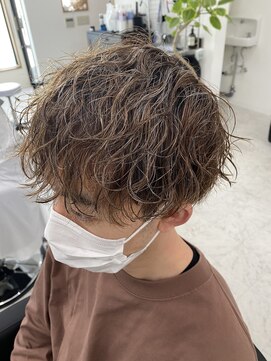 プロップ(PROP) 波巻きマッシュ