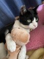 キラク(kirak) 実家で犬と猫飼ってるので動物大好きです!