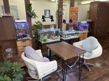 ビーエフサロン 大森町店(B×F SALON)の雰囲気（待合室はマリンアクアリウムの展示とワークショップのスペースに）