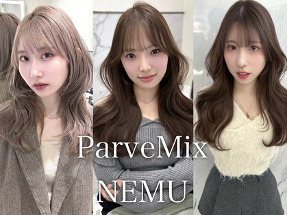 パーヴミックスネム(ParveMix NEMU)の写真