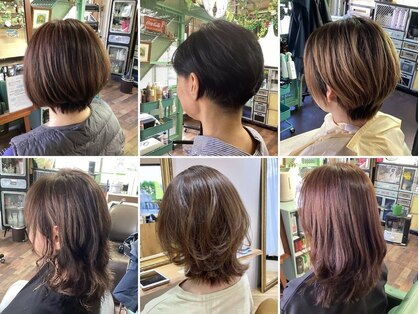 シュシュ(Chou Chou)の写真