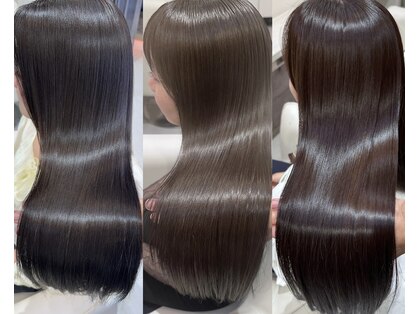 ノーチェ(noche)の写真