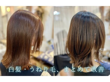 クオリア(QUALIA)の写真