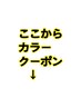 ここからカラーのセットメニューになります。