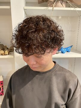 アマネク(AMANEQ by THISCOVER.) プードルパーマ