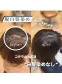 40代50代/白髪ぼかし/白髪染め/銀座/レイヤー/野川