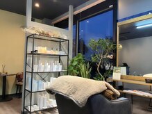 ラクーン(raccoon)