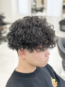 テクト バイアッシュ 吉祥寺店(Tect by Ash) プードルパーママッシュパーマポップコーンパーマツーブロック