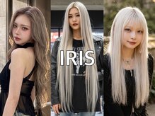 アイリス(iRIS)