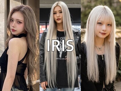 アイリス(iRIS)の写真