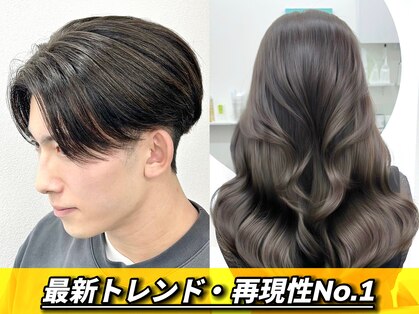 ロイ(Loy)の写真