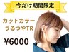 『新規限定』(平日6月限定)カット ＋ フルカラー+プチトリートメント