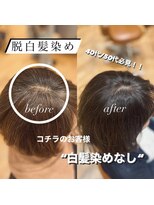 ビュートリアム265(BEAUTRIUM 265)&nbsp;40代50代/白髪ぼかし/白髪染め/銀座/レイヤー/野川