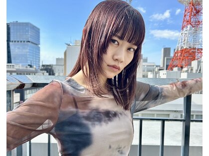 ザ ライト バイ アストレア(The Light by Astraea)の写真