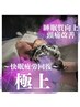 メンズカット+ 【PREMIUM】極上スパ（30分）￥10000→￥9000