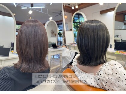 レミエ(lemie)の写真