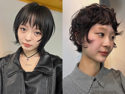 スイ(SUiii)の写真