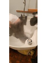 アミノ酸シャンプーで優しく洗って、ナノミストでトリートメントの通り道を作ります