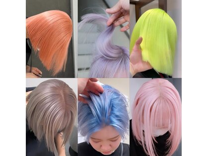 プネル(punel)の写真