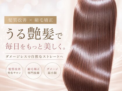 イト(ito)の写真