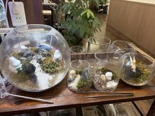 ビーエフサロン 大森町店(B×F SALON)の雰囲気（苔テラリウムやボトルアクアリウムも販売。ワークショップも人気）