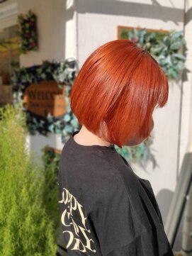 シャローム(SHALOM) オレンジ