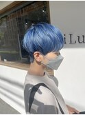 ブルー／ネイビー／ネイビーブルー/ペールブルー／水色
