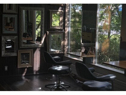 シュール(Sure)の写真