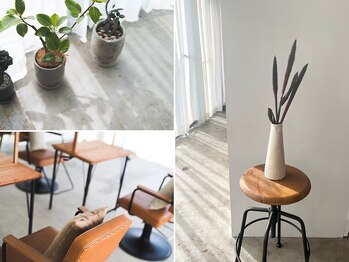 デイ(day)の写真/【西区三篠】植物や花々に囲まれた心地良い空間で、あなただけの特別なサロンタイムをー＊