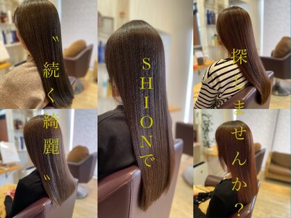 シオン(SHION)の写真