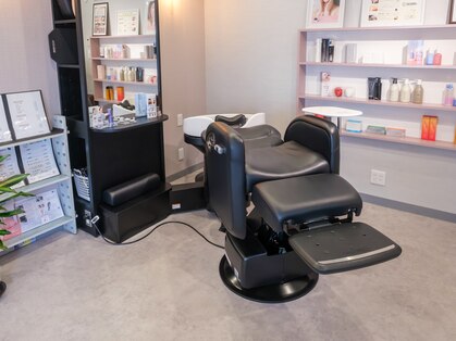 ブルーム(Bloom)の写真