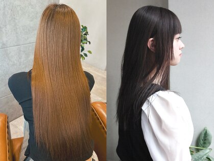 クイン(qin)の写真