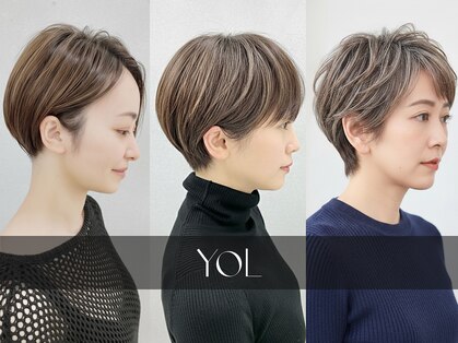 ヨール(YOL)の写真