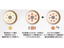 内部の硬くなったタンパク質をWエンザイム(酵素)の効果で柔らかくし毛髪内部を本来の柔軟性に近付けます。