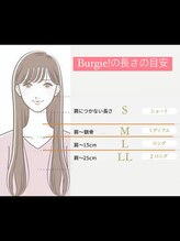 ヘアー ザ バーギー(Hair the Burgie) burgie 