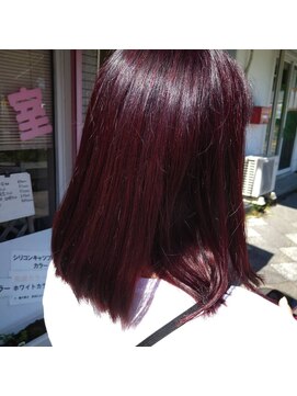 イシハラ(Ishihara) ダブルカラー