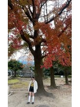 フラットアイランド(flatisland)&nbsp;ナ ナ