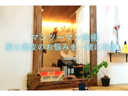 クオリア(QUALIA)の写真