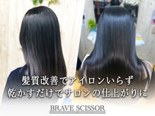 ブレイブシザー(BRAVE SCISSOR)