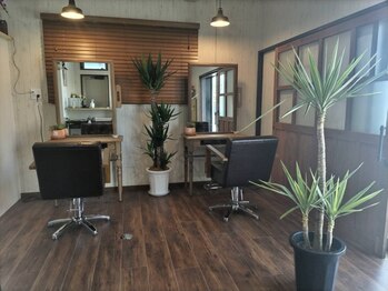 オリーブ(OLIVE)の写真/【癒し空間】少人数だからこその居心地の良さ◎落ち着いた雰囲気とこだわり抜かれた間取りの店内◇