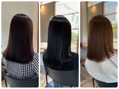 コチ(Cochi)の写真